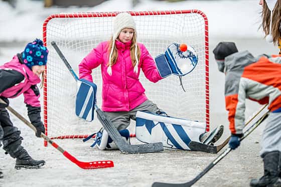 Hockey libre - Tous - Jeudi 15 janvier 17 h